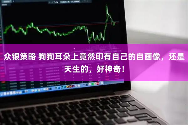 众银策略 狗狗耳朵上竟然印有自己的自画像，还是天生的，好神奇！